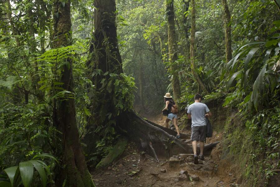 Costa Rica : Randonnée dans le parc du volcan Tenorio