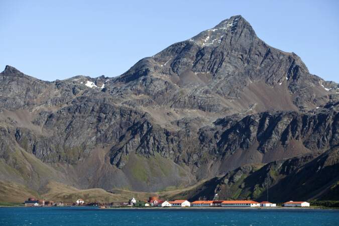 Le village de Grytviken