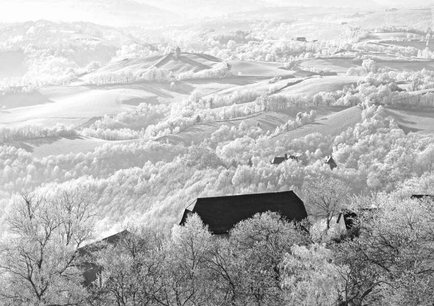 L'hiver à Noailhac (Corrèze) - 1er prix de l'édition "La nature en hiver"