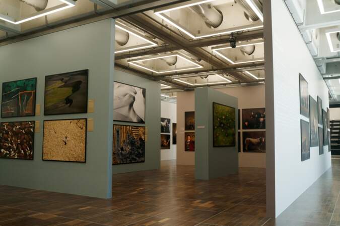 Plus de 250 photos dans un espace d’exposition de 1 200 m²