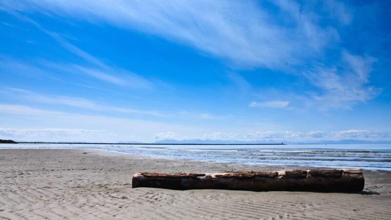 La plage naturiste de Wreck Beach au Canada