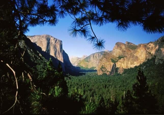 Parc de Yosemite, en Californie