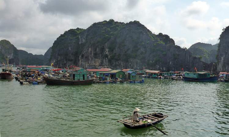 Vietnam - Cat Ba : la baie d’Along autrement…