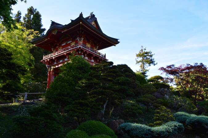 Savourer un thé dans un charmant jardin japonais à Golden Gate Park