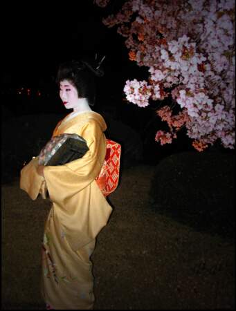Geisha, par Pixanne Photographies