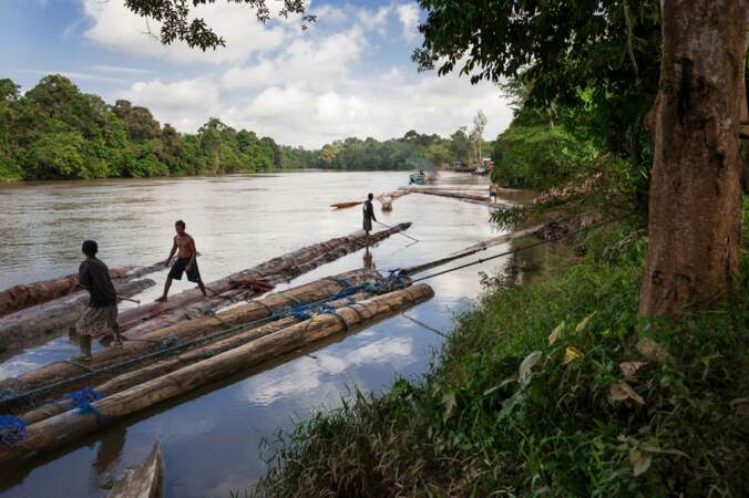 Le bois dévale les fleuves vers la mer de Java