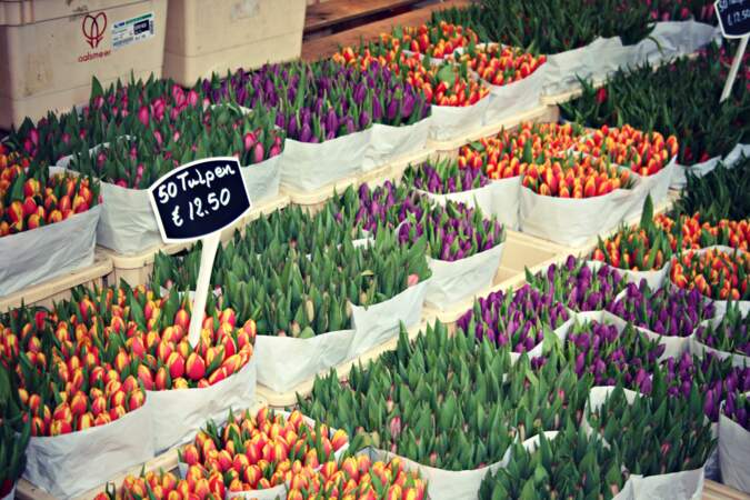 Flâner au marché aux fleurs et à l’Albert Cuyp Markt
