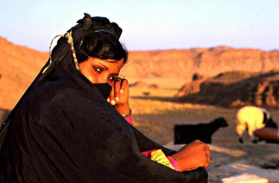 Photo prise dans le désert du Sinaï (Egypte), par sellig06