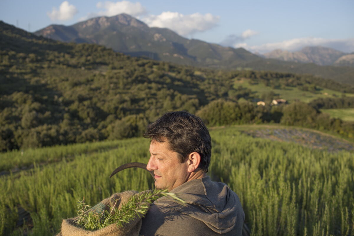 Corse : à la rencontre des habitants de nos régions - GEO