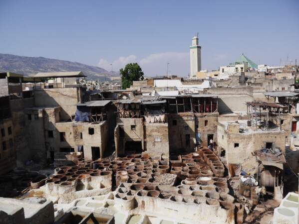Maroc - Fès, ville des merveilles