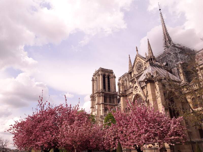 2019 : Notre-Dame ravagée par un incendie 