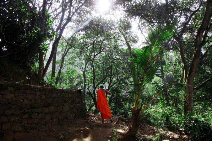 Moine bouddhiste dans le jardin d'un monastère sur les hauteurs de Ella