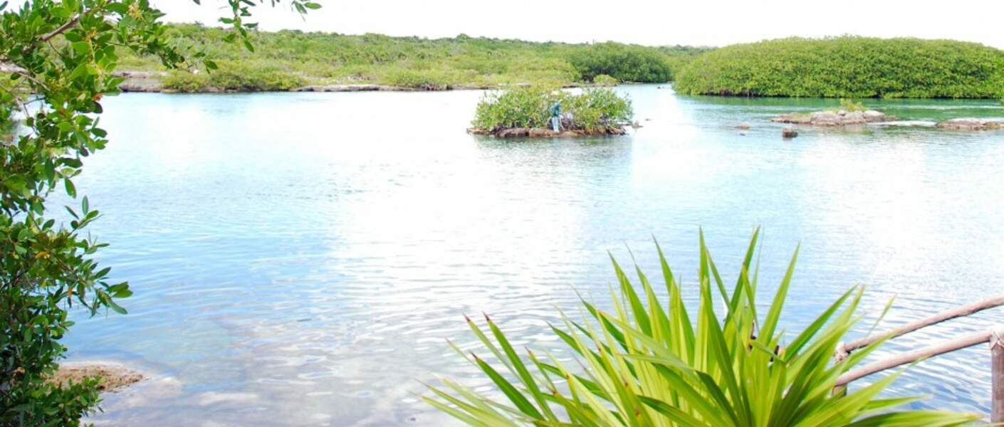 Mexique - La lagune Yal-kú ravira les amateurs de snorkeling
