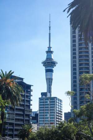 Nouvelle-Zélande - Auckland: que faire, que visiter ?
