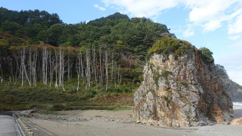 Le sentier côtier de Michinoku