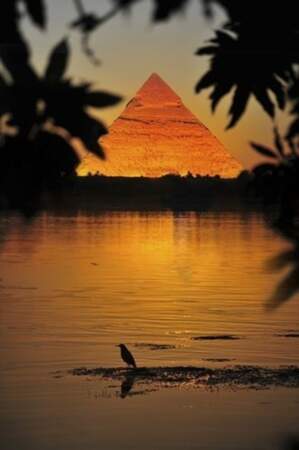 Le Nil, en Egypte