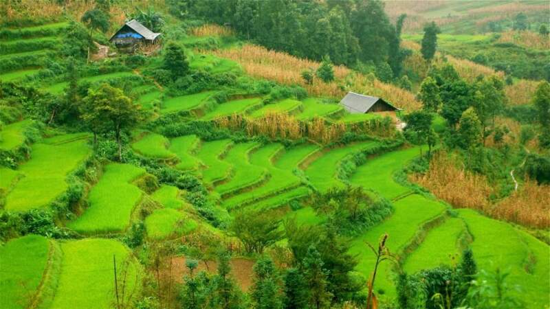 Photo prise au Vietnam par le GEOnaute : lilyjo