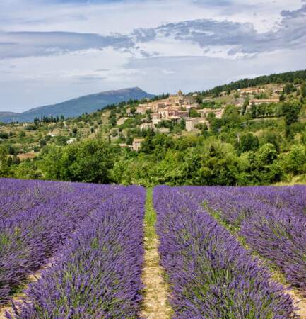 Un tour en Provence