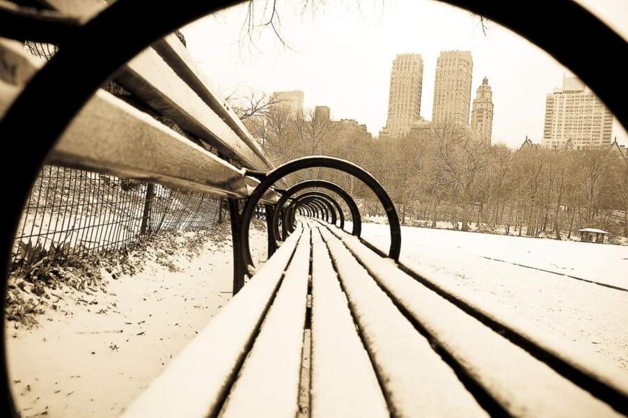 Les bancs de Central Park, par Audrey B