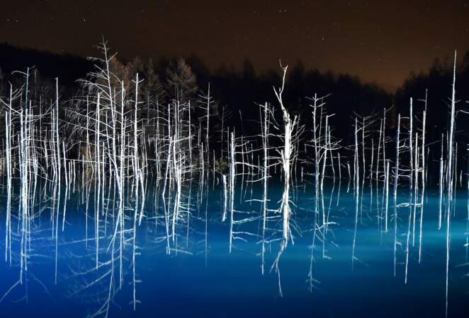 Hokkaido, Japon : scène nocturne en bleu cobalt