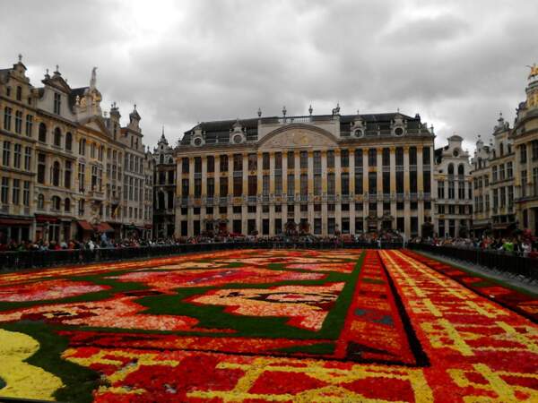 Belgique - Quand Bruxelles déroule son tapis de fleurs