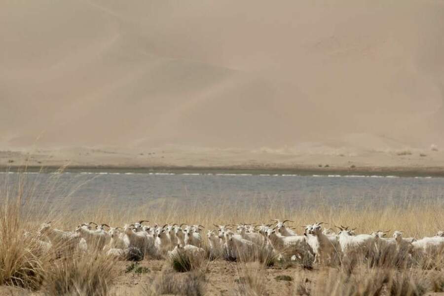 Photo prise dans le désert de Badain Jaran (Chine) par le GEOnaute : Yugo