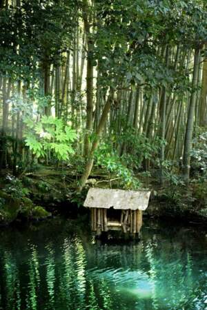 Jardin zen de Kyoto, par Romain Vaysse