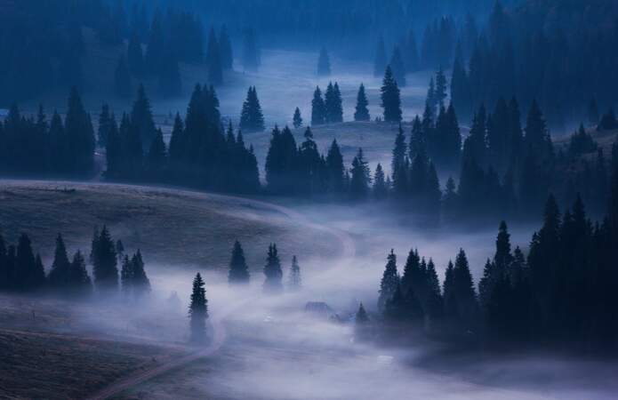 Terres mystiques dans le parc naturel Apuseni, en Roumanie