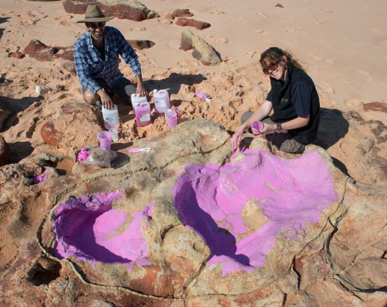 Des empreintes de dinosaures dans le "Jurassic park" australien