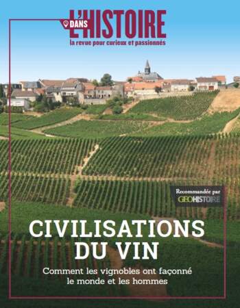 Civilisations du vin, Dans l'Histoire