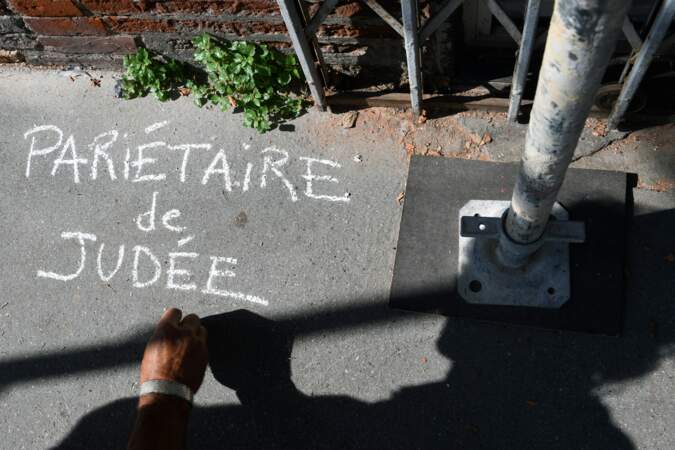 Opération graffiti à Toulouse pour "laisser pousser" les plantes sauvages