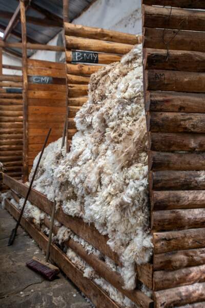 La meilleure laine du monde