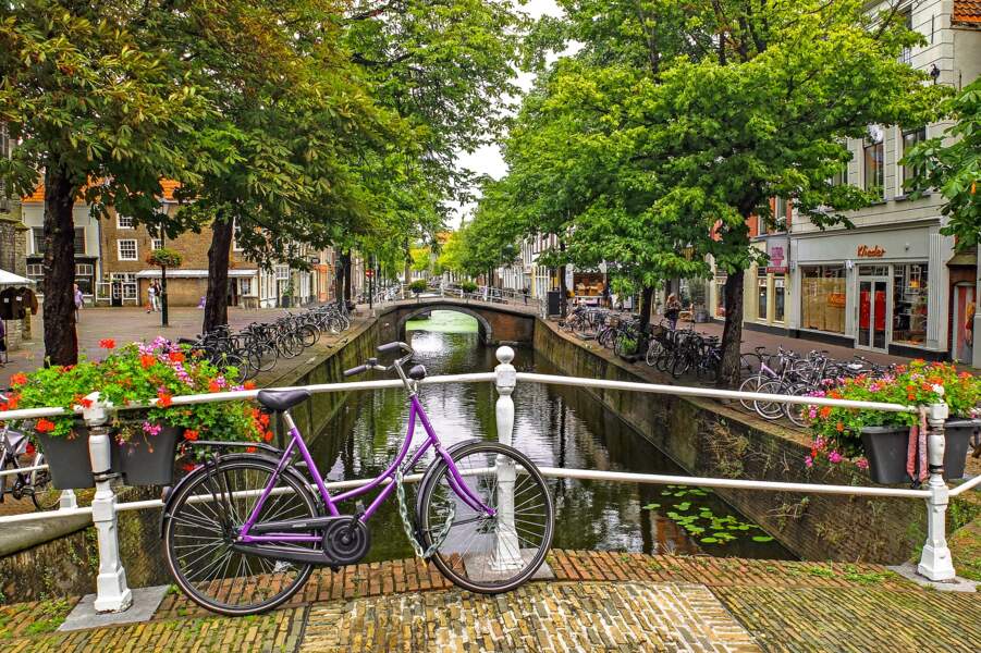 Fleurs et vélo aux Pays-Bas