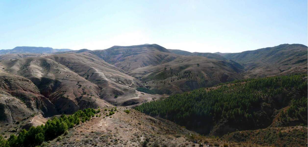 Sur la route de Mostaganem, nord-ouest de l'Algérie