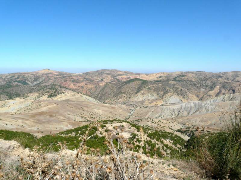 Sur la route de Mascara, au nord ouest de l'Algérie 
