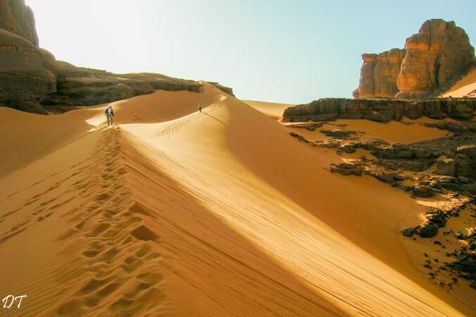 Magnifiques dunes de la Tadrart rouge au lever du jour