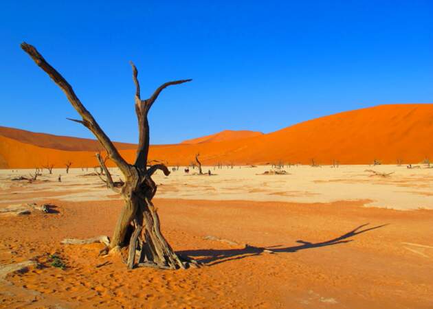 Sossusvlei (Namibie)