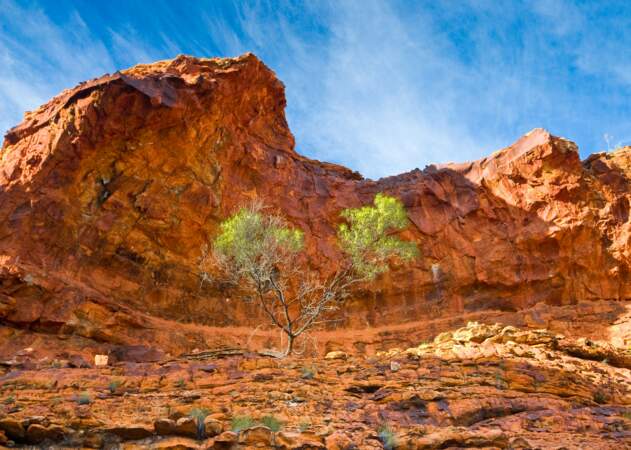 Kings Canyon, Parc national de Watarrka (Australie)