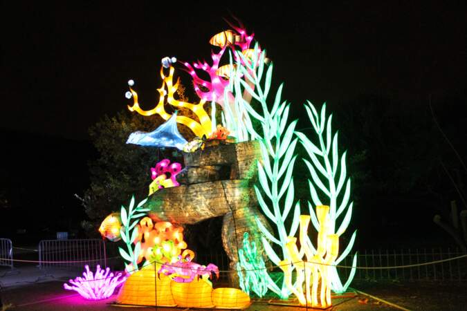 Plusieurs centaines de sculptures lumineuses