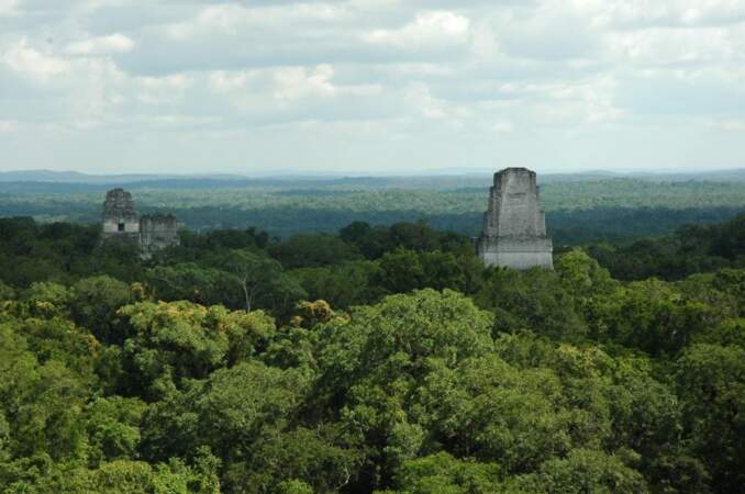 Ruines mayas de Tikal, Guatemala : base rebelle sur la lune Yavin 4 (épisode IV)