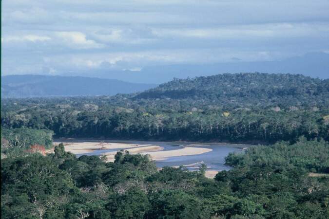 Paysage d'Amazonie