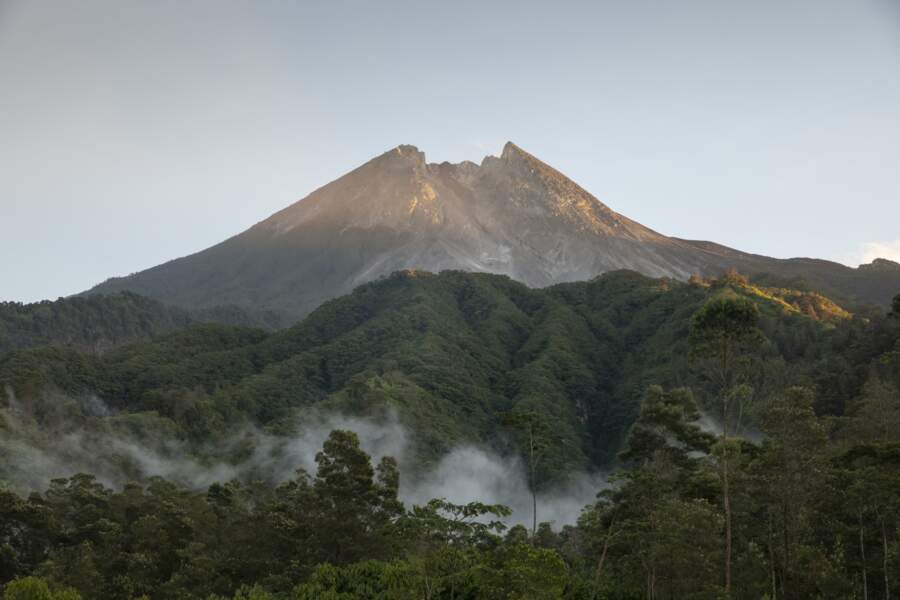 En indonésien, son nom signifie "montagne de feu"