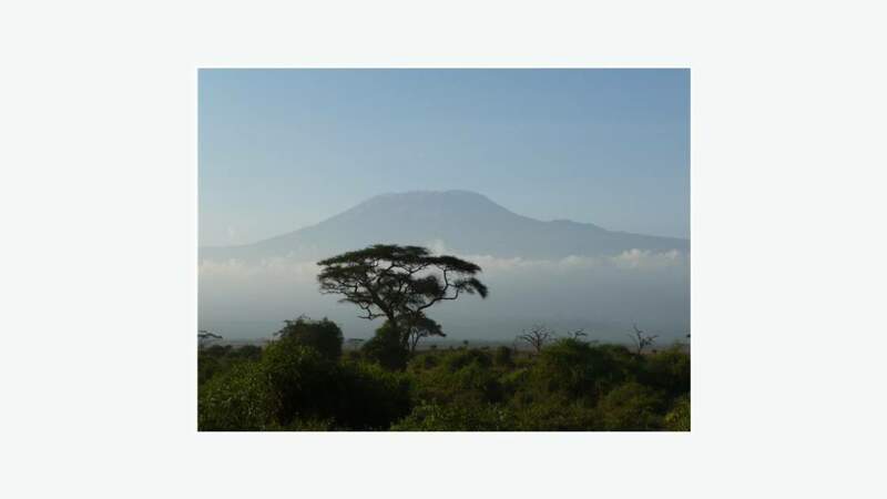 Kilimandjaro dans la brume