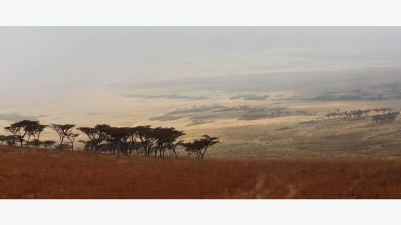 Au cœur du massif du Ngorongoro, dans le nord du pays
