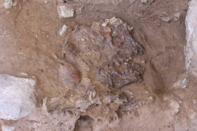 10 - Néandertal semblait bien enterrer ses morts