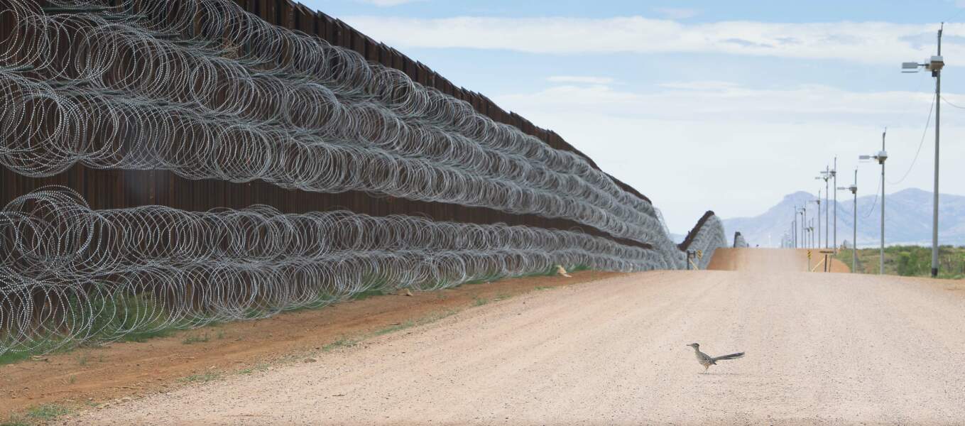 Un grand géocoucou s'approche du mur frontalier à Naco, Arizona, Etats-Unis, le 28 avril - Catégorie "Nature" (image seule)