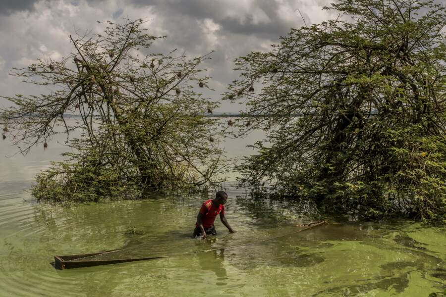 Murchison Bay, Kampala, Ouganda : un pêcheur illégal sur le lac Victoria - Catégorie "Environnement" (image seule)