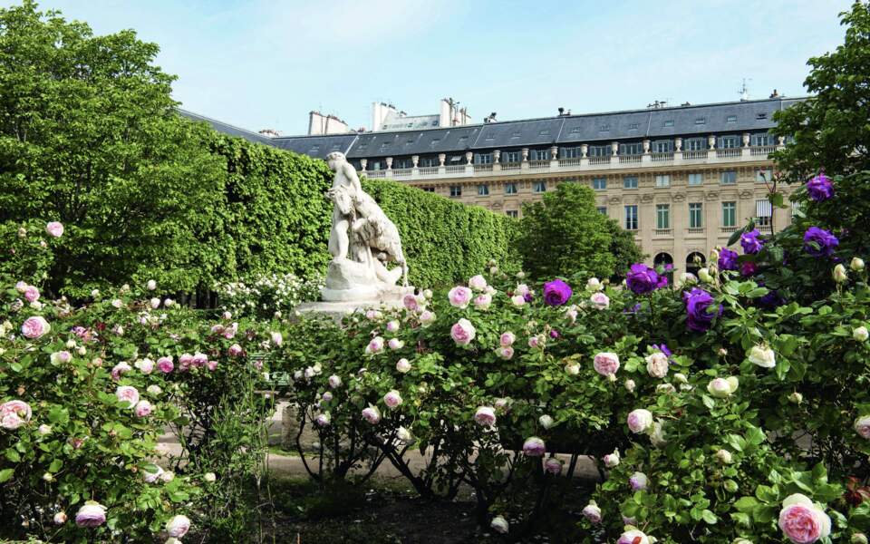 Jardin du domaine national du Palais-Royal