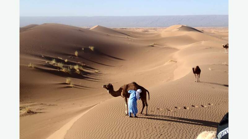Caravane aux coeur des grandes dunes du Sahara
