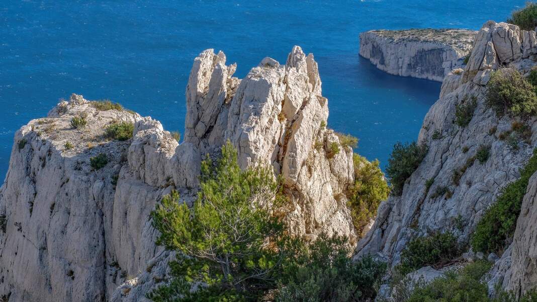A Marseille, deux rorquals ont été observés au large des calanques